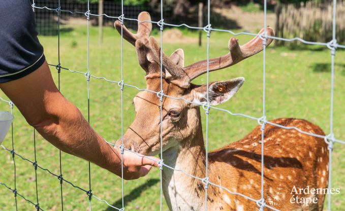 Kasteel in Marche-en-Famenne voor 15 personen in de Ardennen