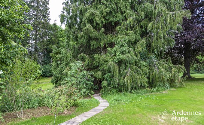 Kasteel in Marche-en-Famenne voor 15 personen in de Ardennen