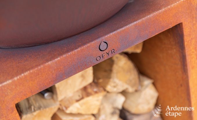 Kasteel in Marche-en-Famenne voor 15 personen in de Ardennen