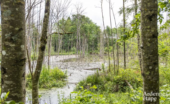 Kasteel in Marche-en-Famenne voor 15 personen in de Ardennen