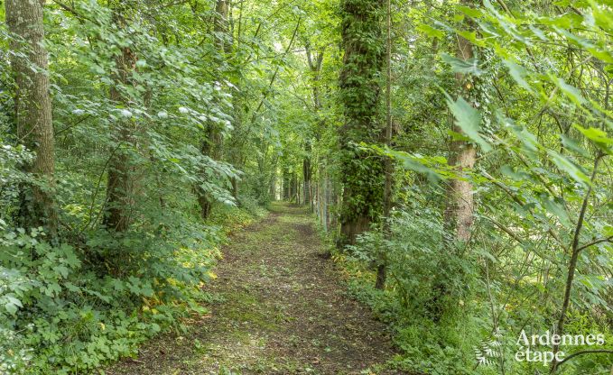 Kasteel in Marche-en-Famenne voor 15 personen in de Ardennen