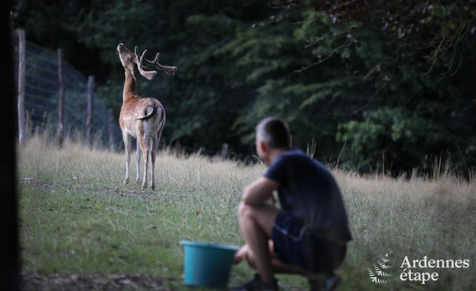 Kasteel in Marche-en-Famenne voor 15 personen in de Ardennen
