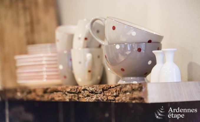 Vakantiehuis in Marche-en-Famenne voor 2/4 personen in de Ardennen