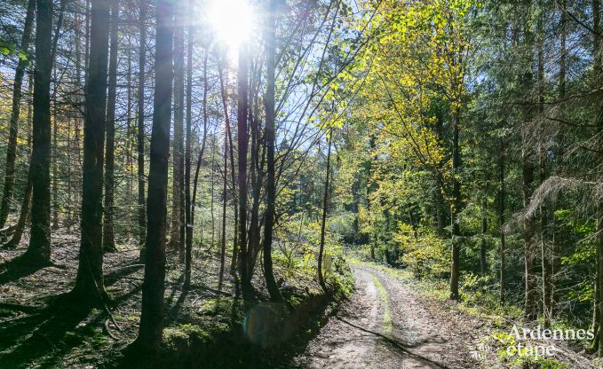 Vakantiehuis in Marche-en-Famenne voor 2/4 personen in de Ardennen