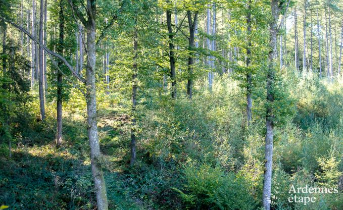 Vakantiehuis in Marche-en-Famenne voor 2/4 personen in de Ardennen
