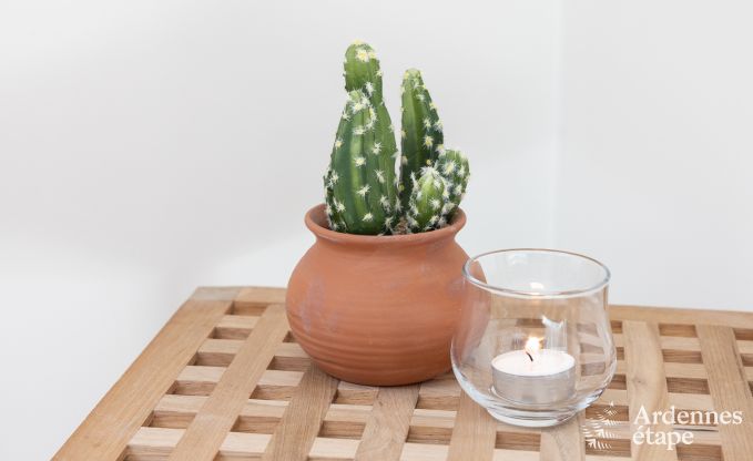 Vakantiehuis in Marche-en-famenne voor 6 personen in de Ardennen