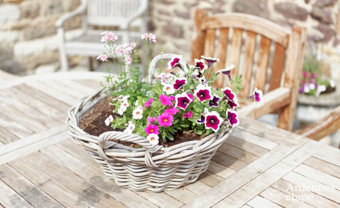 Vakantiehuis in Marchin voor 8 personen in de Ardennen