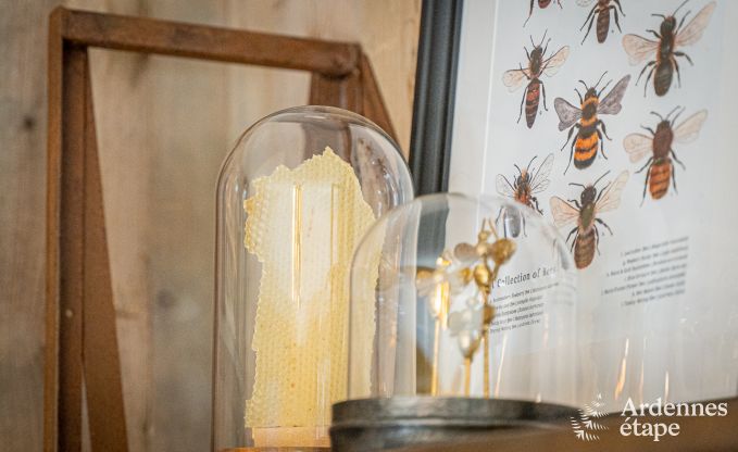 Charmant vakantiehuis aan het water in Marchin voor 4 personen