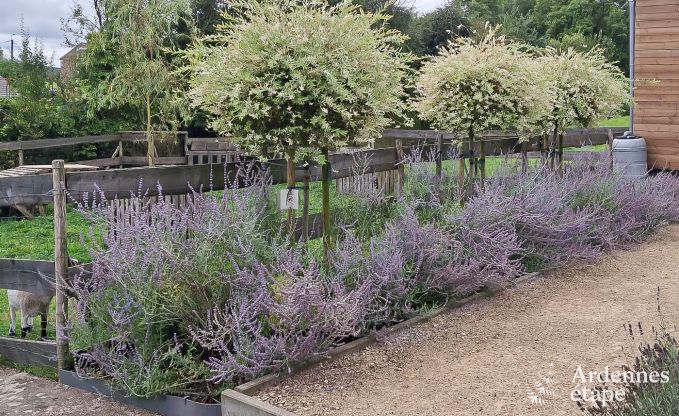 Vakantiehuis in Marchin voor 6 personen in de Ardennen