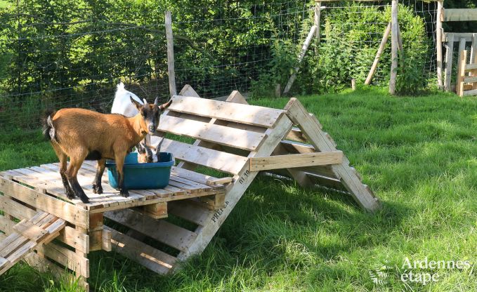 Vakantiehuis in Marchin voor 6 personen in de Ardennen