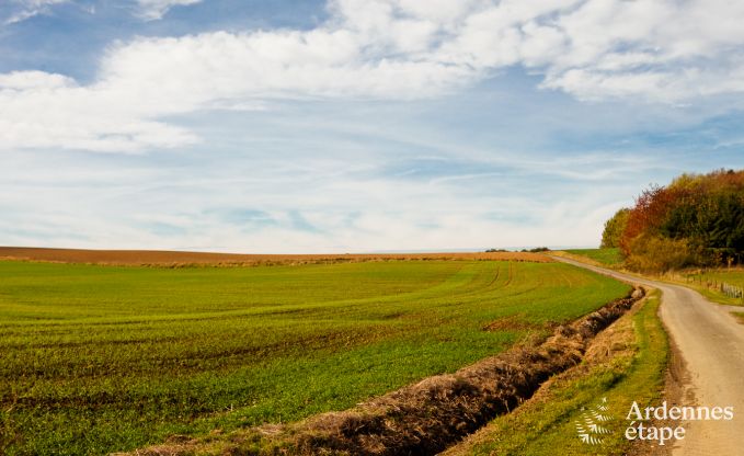 Luxe villa in Maredsous voor 16 personen in de Ardennen