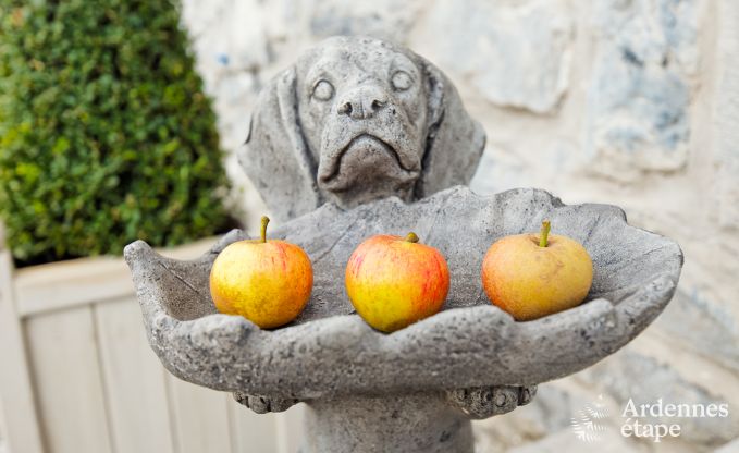 Luxe villa in Maredsous voor 16 personen in de Ardennen