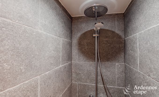 Vakantiehuis in Maredsous voor 14 personen in de Ardennen