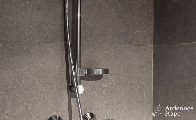 Vakantiehuis in Maredsous voor 14 personen in de Ardennen