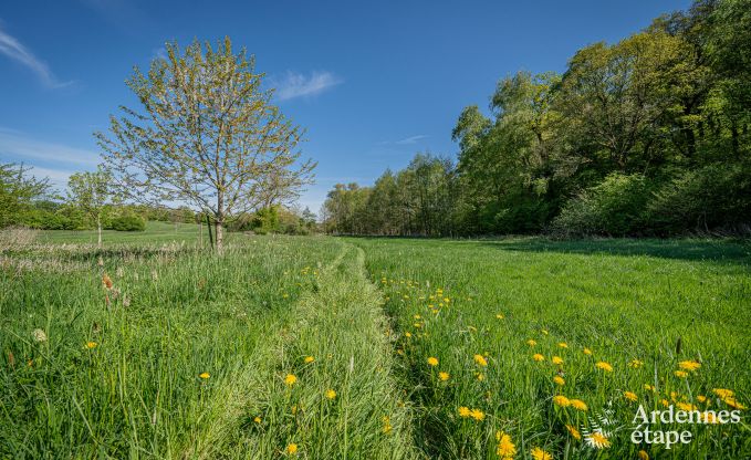 Ruime vakantiewoning in Maredsous voor 18 personen met 6 slaapkamers, 5 badkamers, pizzaoven en grote privtuin nabij Dinant en Mettet