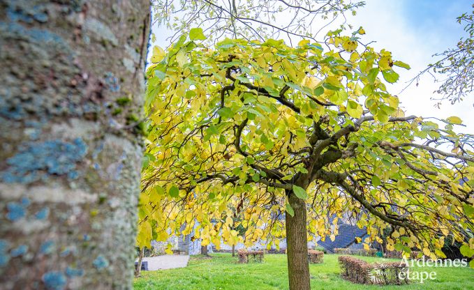 Vakantiehuis in Maredsous voor 14 personen in de Ardennen