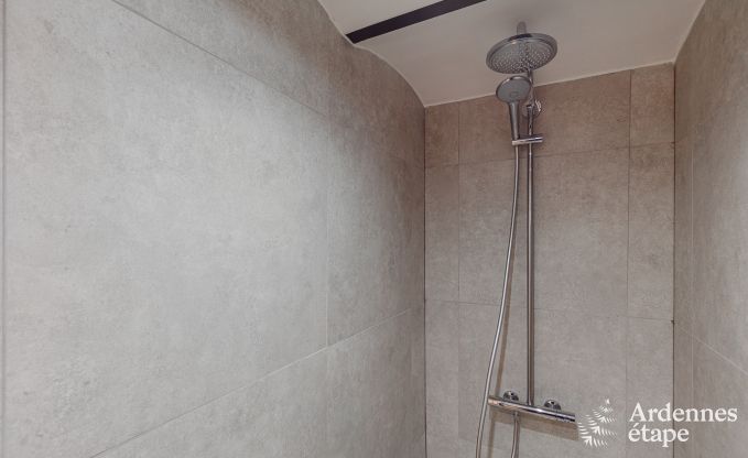 Vakantiehuis in Maredsous voor 14 personen in de Ardennen