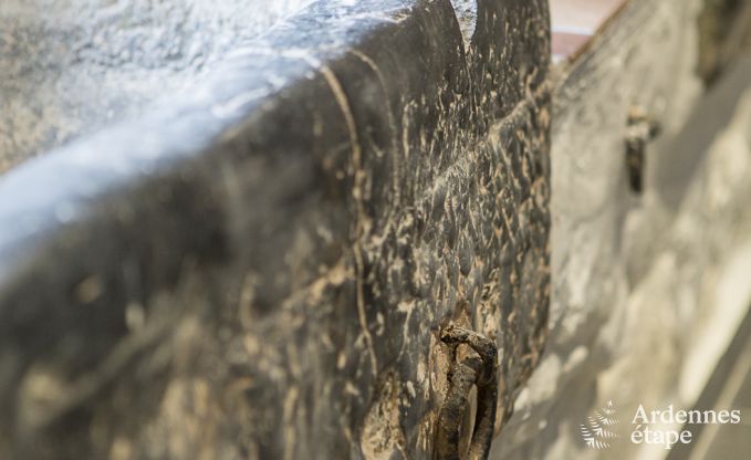 Vakantiehuis in Maredsous voor 14 personen in de Ardennen