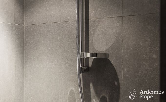 Vakantiehuis in Maredsous voor 14 personen in de Ardennen