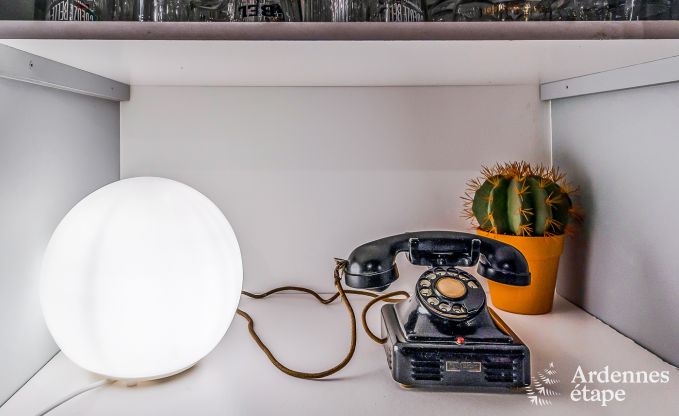 Ruime vakantiewoning in Maredsous in de Ardennen: Comfort en vermaak voor 29 personen