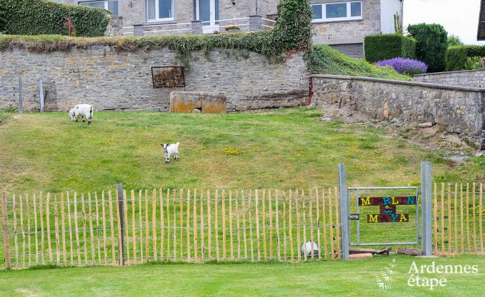 Vakantiehuis in Maredsous voor 6 personen in de Ardennen