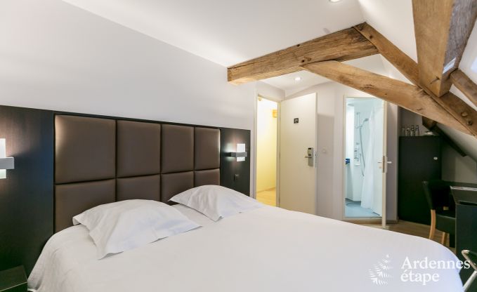 Kasteel in Modave voor 46 personen in de Ardennen