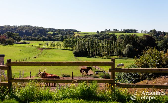 Vakantiehuis in Modave voor 20/22 personen in de Ardennen