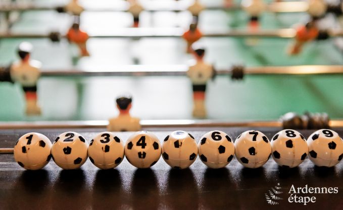 Vakantiehuis in Modave voor 20/22 personen in de Ardennen