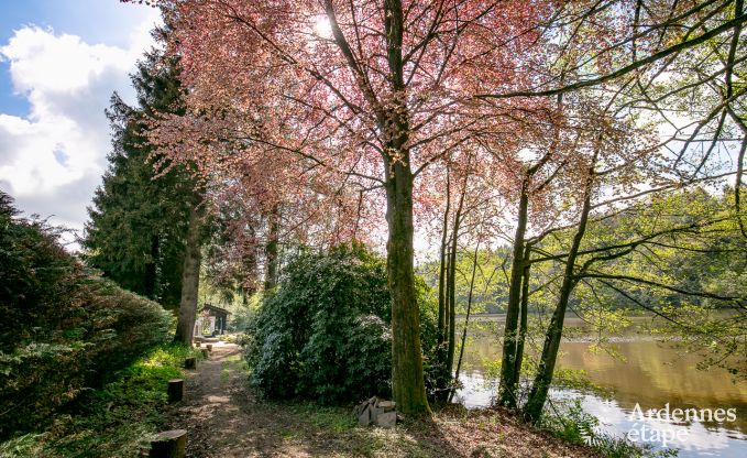 Romantische chalet aan het water voor 2 personen in Momignies