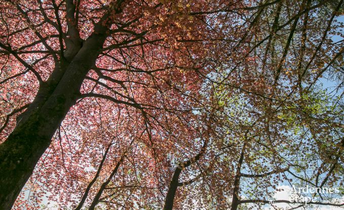 Romantische chalet aan het water voor 2 personen in Momignies