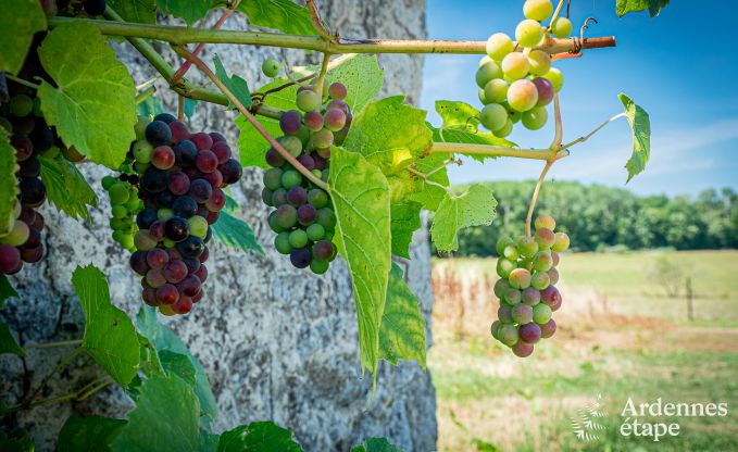 Vakantiehuis in Moustier-en-Fagne voor 14 in de Franse  Ardennen