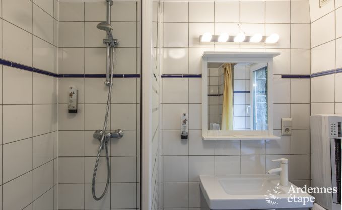 Vakantie midden in de natuur in de Ardennen: ruime villa in Houffalize (Nadrin) voor 28 personen met talrijke voorzieningen en diensten, huisdieren welkom