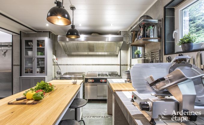 Vakantie midden in de natuur in de Ardennen: ruime villa in Houffalize (Nadrin) voor 28 personen met talrijke voorzieningen en diensten, huisdieren welkom