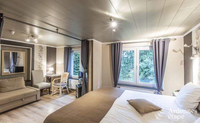 Vakantie midden in de natuur in de Ardennen: ruime villa in Houffalize (Nadrin) voor 18 personen met talrijke voorzieningen en diensten, huisdieren welkom