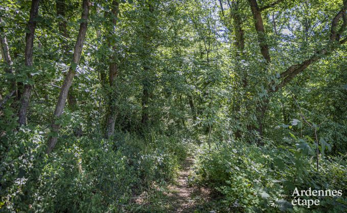 Comfortabel vakantiehuis voor 8 personen in Namen, met zwembad