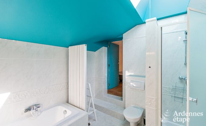 Vakantiehuis in Namur voor 9 personen in de Ardennen