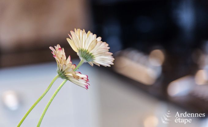 Vakantiehuis in Namur voor 9 personen in de Ardennen