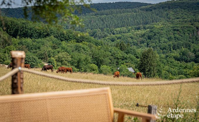 Buitengewoon in Nassogne voor 2 personen in de Ardennen