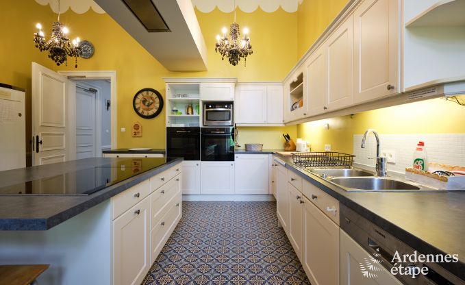 Prachtig gerenoveerd kasteel met zwembad in Nassogne, Ardennen