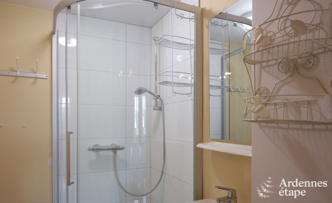 Prachtig gerenoveerd kasteel met zwembad in Nassogne, Ardennen