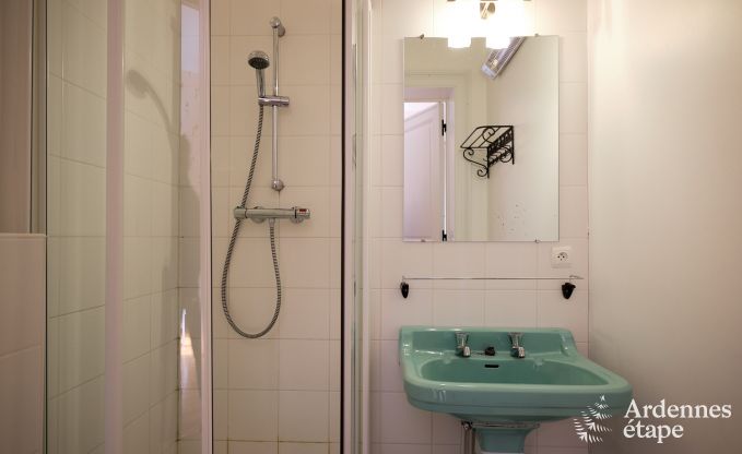 Prachtig gerenoveerd kasteel met zwembad in Nassogne, Ardennen