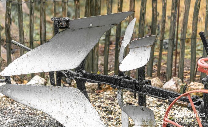 Vakantiehuis in Neufchteau voor 4 personen in de Ardennen