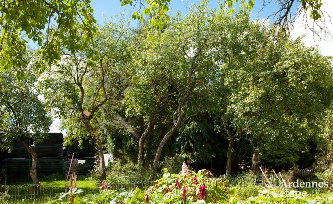 Vakantiehuis in Neufchteau voor 4 personen in de Ardennen