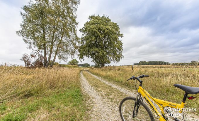 Vakantiehuis in Neufchateau voor 9 personen in de Ardennen