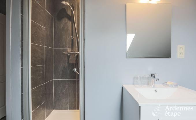 Vakantiehuis in Neufchateau voor 9 personen in de Ardennen