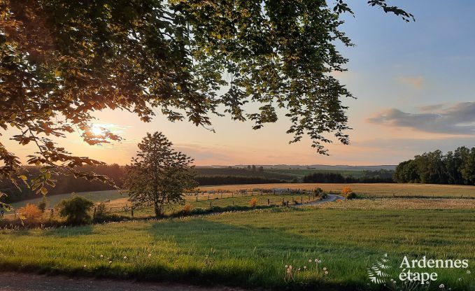 Comfortabel vakantiehuis in Neufchateau, ideaal voor 15 personen, met bubbelbad, sauna en speelvoorzieningen