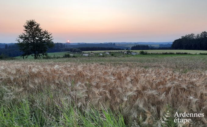 Comfortabel vakantiehuis in Neufchateau, ideaal voor 15 personen, met bubbelbad, sauna en speelvoorzieningen