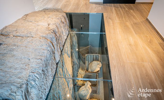 Vakantiehuis in Neufchteau voor 22/24 personen in de Ardennen