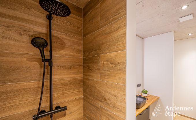 Vakantiehuis in Neufchteau voor 22/24 personen in de Ardennen