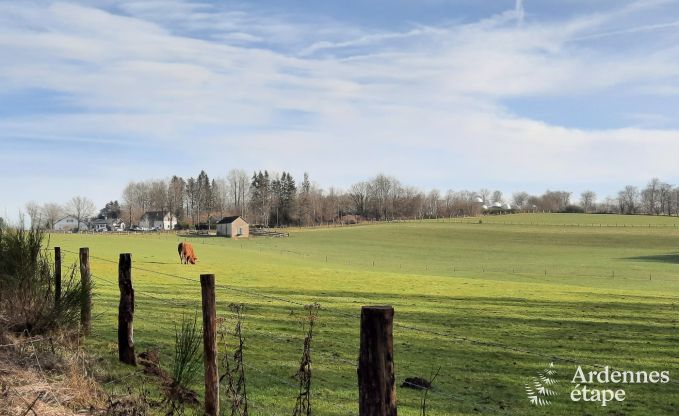 Comfortabel vakantiehuis in Neufchateau, ideaal voor 15 personen, met bubbelbad, sauna en speelvoorzieningen